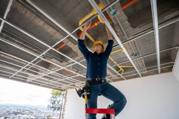 Best Emergency Plumber  in Nogales, AZ
